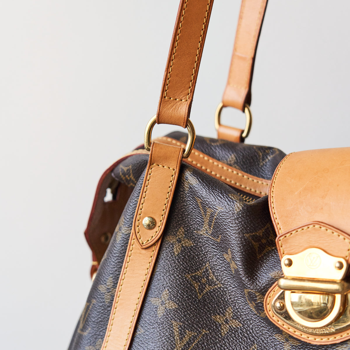 Louis Vuitton Monogram Stresa PM Tote Bag