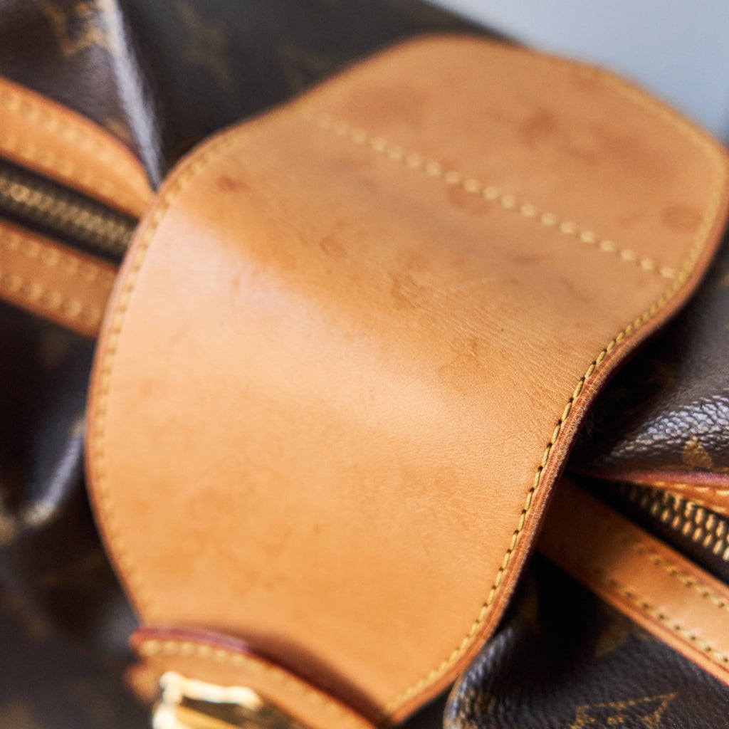 Louis Vuitton Monogram Stresa PM Tote Bag