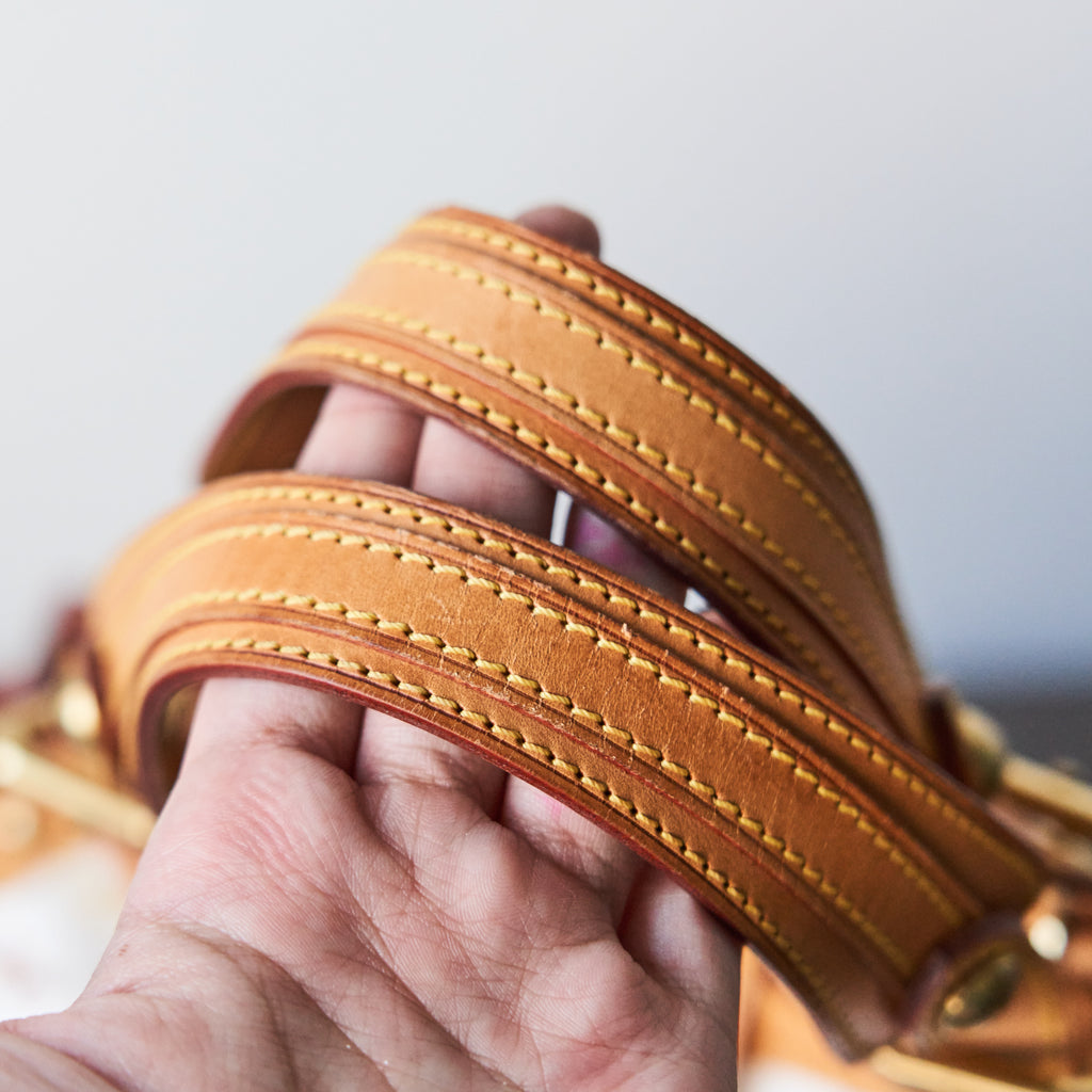 Loved Louis Vuitton Multi Theda PM Bag